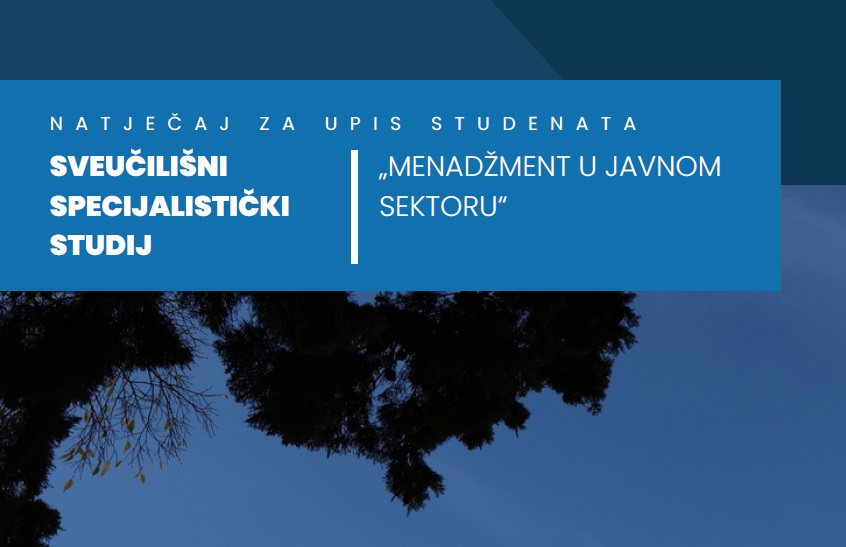 Menadžment u javnom sektoru